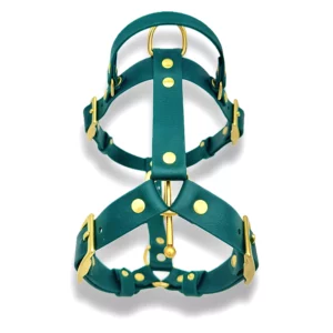 Découvrez notre harnais en biothane pour chien, conçu pour offrir confort et robustesse. Ce harnais bicolore associe un design élégant à une fonctionnalité optimale grâce à sa poignée rétractable, idéale pour un contrôle rapide et sécurisé de votre chien. Fabriqué en biothane, un matériau résistant et facile à nettoyer, il est parfait pour une utilisation quotidienne ou lors de vos sorties en extérieur. Ses boucles en acier inoxydable assurent une durabilité maximale, même dans des conditions humides.