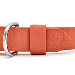 Collier en biothane orange avec passant et attache argentée, gravure Okamiiro.