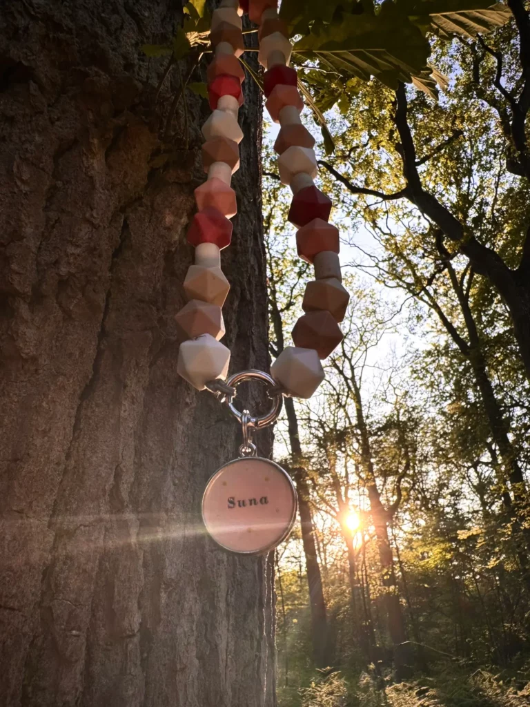 Collier anti-parasitaire en perles de céramique naturelles pour chien, suspendu à un arbre en pleine forêt au coucher du soleil.