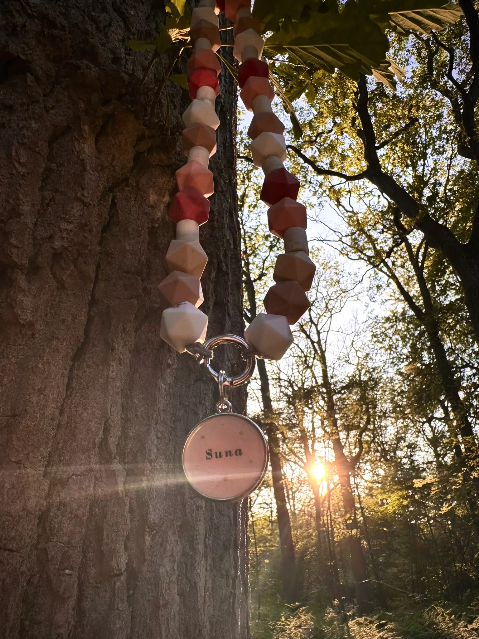 Collier anti-parasitaire en perles de céramique naturelles pour chien, suspendu à un arbre en pleine forêt au coucher du soleil.