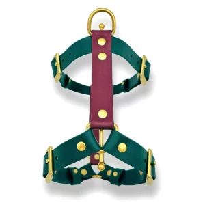 Harnais bicolore pour chien en biothane, vert et pourpre, avec bouclerie dorée.