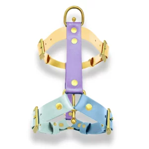Harnais multicolore en biothane pour chien, avec bouclerie dorée.