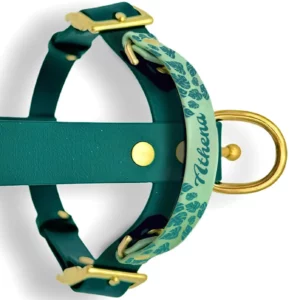 Harnais en biothane bicolore avec motifs feuillage et nom placés sur la poignée.