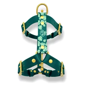 Harnais en biothane bicolore avec motifs feuillage et personnalisation animal placés sur la sangle dorsale.