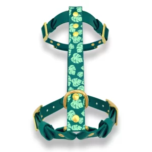 Harnais en biothane bicolore avec motifs feuillage placés sur la sangle de poitrail.