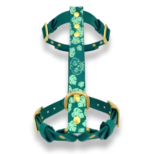 Harnais en biothane bicolore avec motifs feuillage et personnalisation animal placés sur la sangle de poitrail.