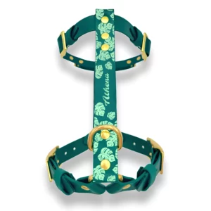 Harnais en biothane bicolore avec motifs feuillage et nom placés sur la sangle de poitrail.