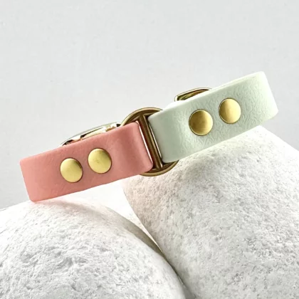 Zweifarbiges BioThane® Halsband 16mm – personalisierbar 🎨