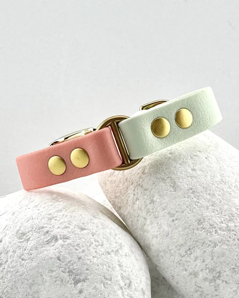 Collier bicolore 16mm BioThane® - à personnaliser 🎨