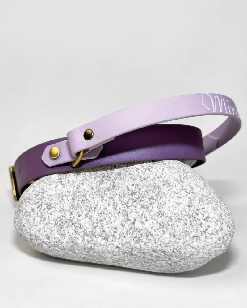 BioThane® Halsband 25mm mit Rückholgriff – personalisierbar 🎨 – Bild 19