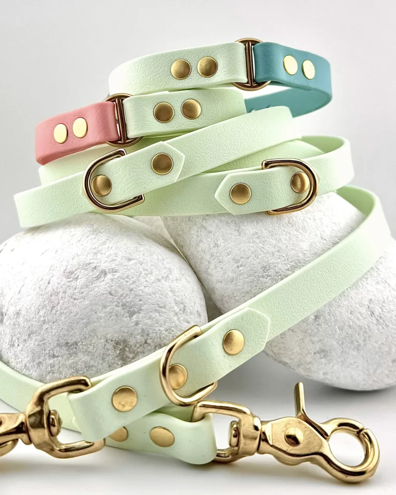 Collier bicolore 16mm BioThane® - à personnaliser 🎨 – Image 14