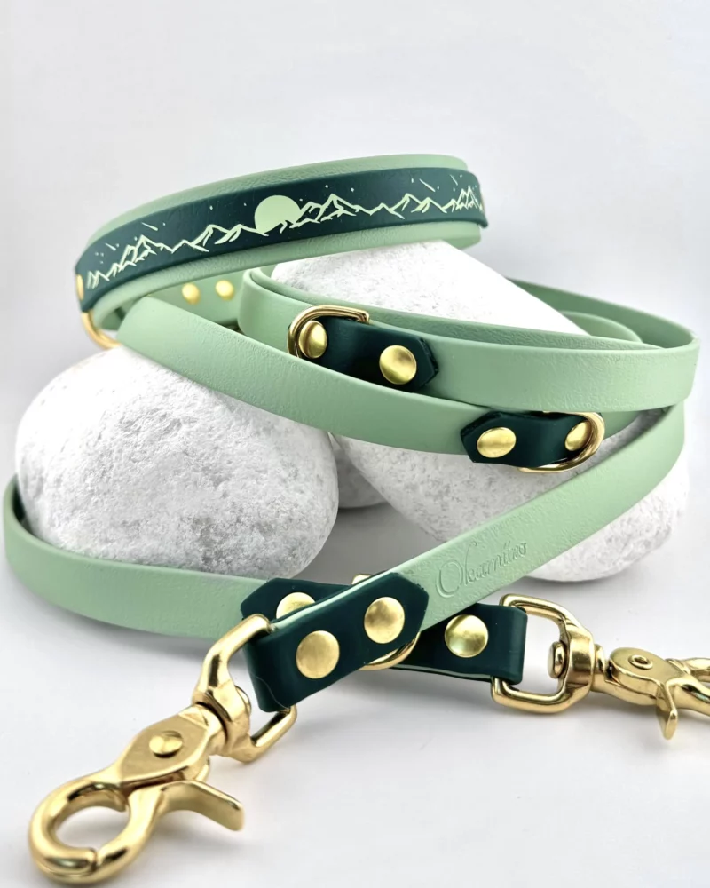 Double Layer 25mm BioThane® Dog Collar – Customizable 🎨 - Image 11