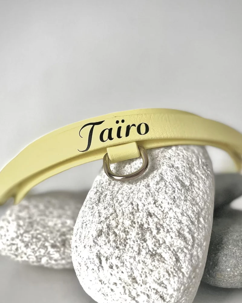 BioThane® Halsband 25mm mit Rückholgriff – personalisierbar 🎨 – Bild 17