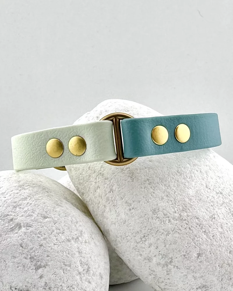 Collier bicolore 16mm BioThane® - à personnaliser 🎨 – Image 11