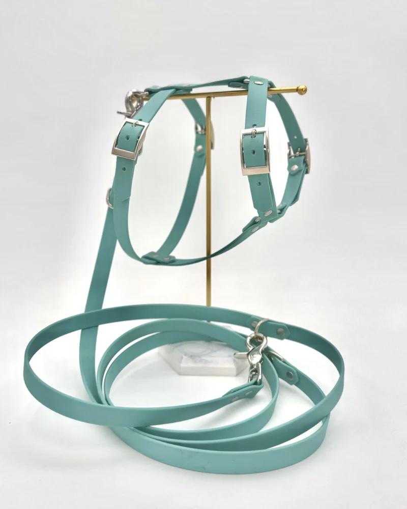 16mm BioThane® Dog Harness – customisable 🎨 - Image 10