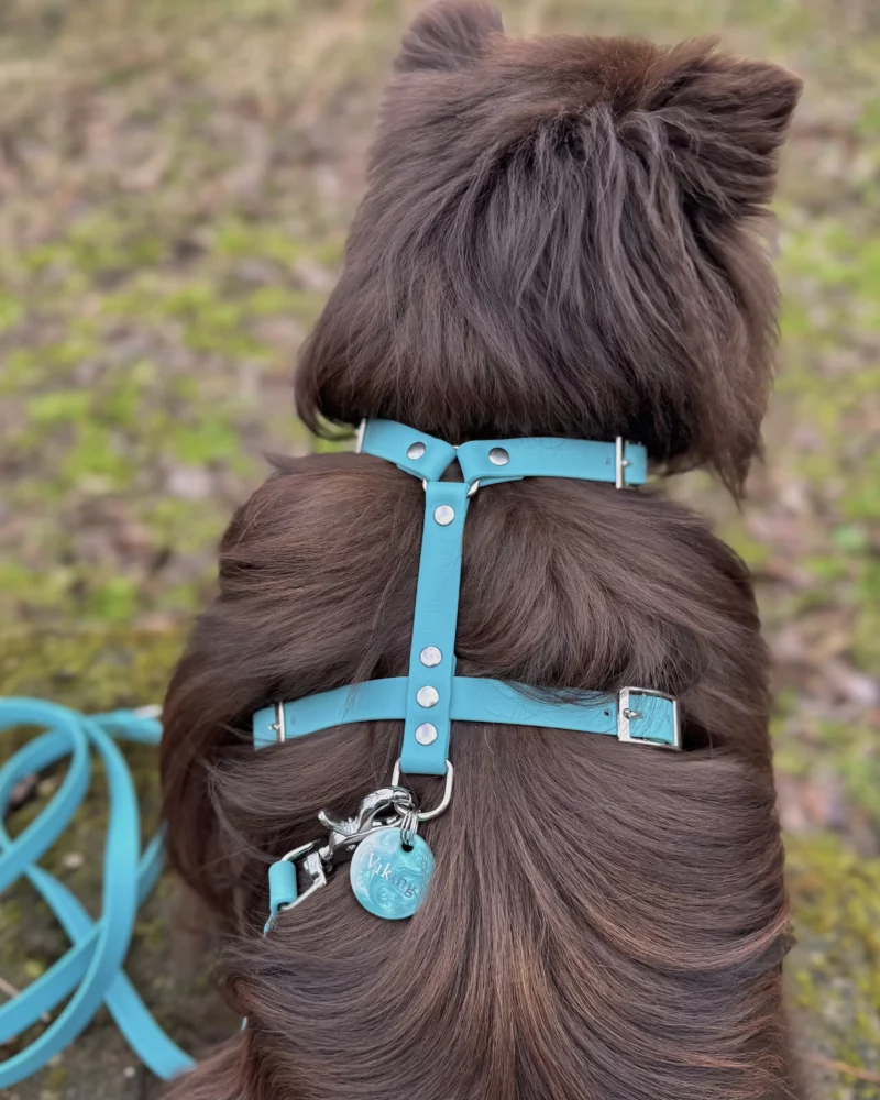 16mm BioThane® Dog Harness – customisable 🎨 - Image 2