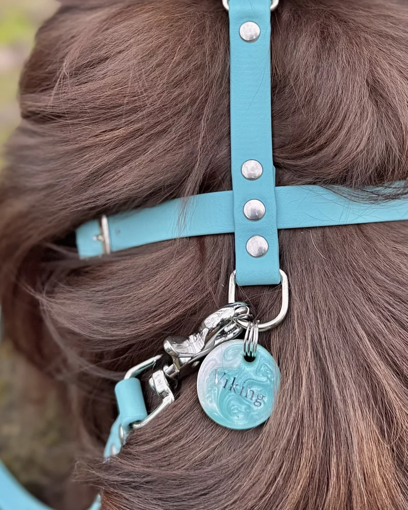 16mm BioThane® Dog Harness – customisable 🎨 - Image 3