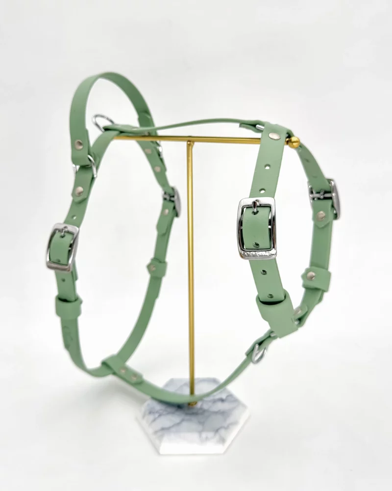 16mm BioThane® Dog Harness – customisable 🎨 - Image 14