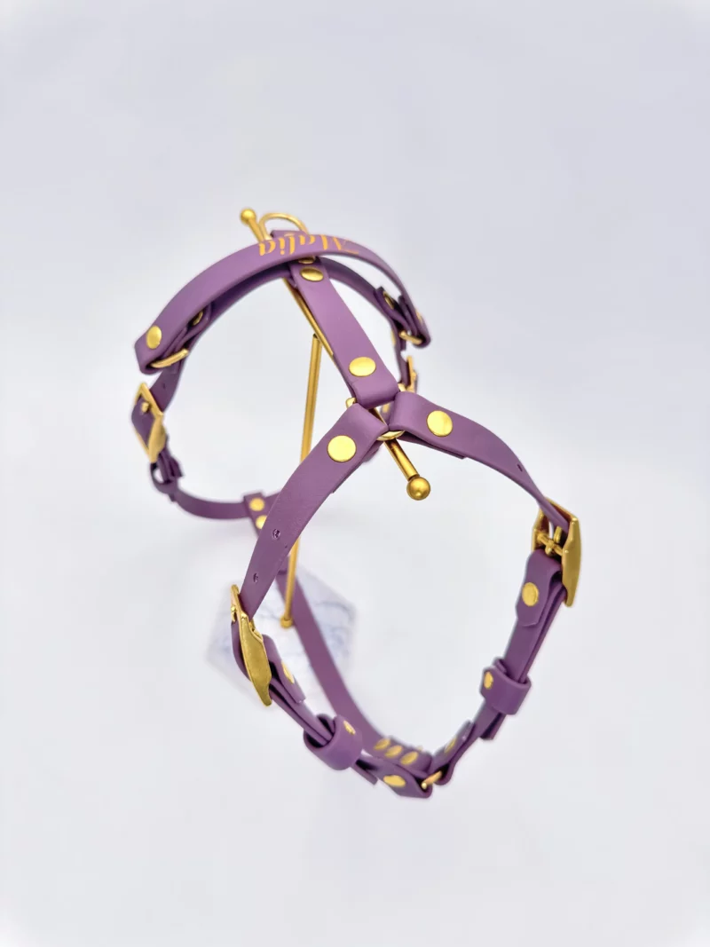 16mm BioThane® Dog Harness – customisable 🎨 - Image 5