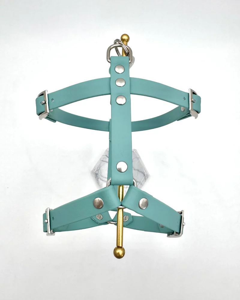 16mm BioThane® Dog Harness – customisable 🎨 - Image 9