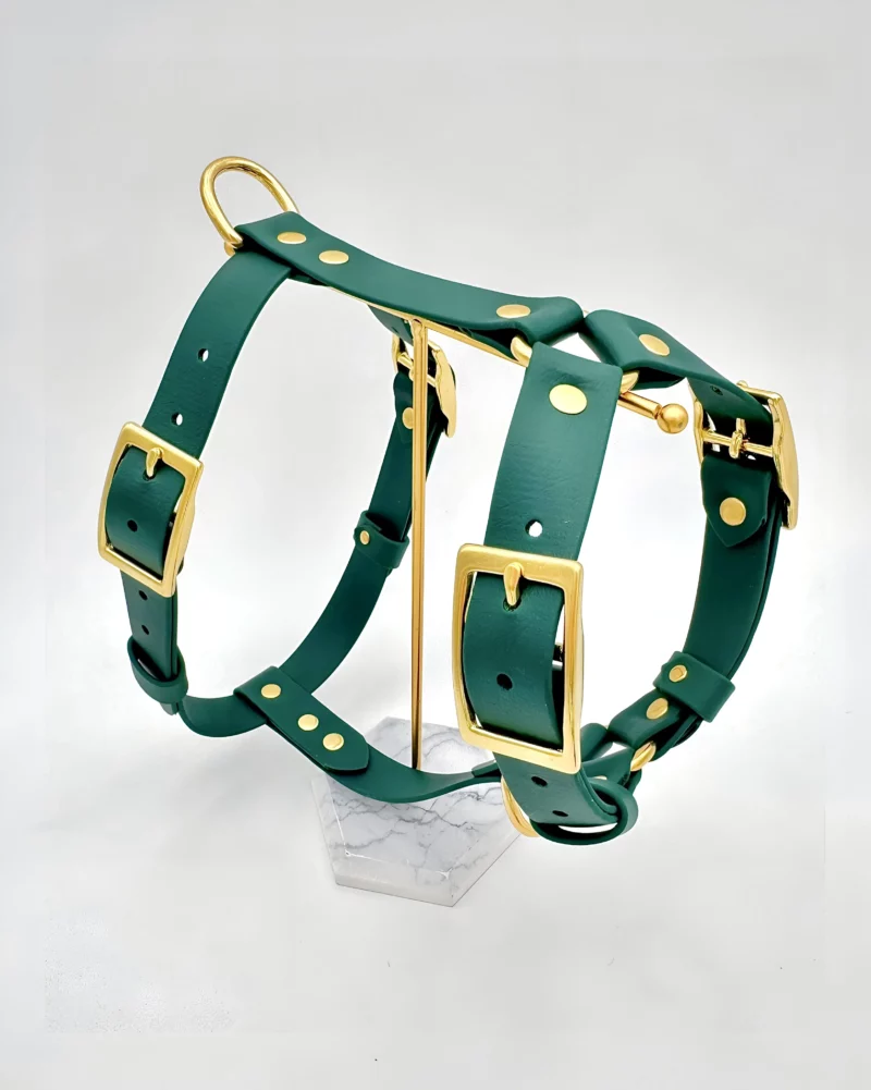25mm BioThane® Harness – fully customisable 🎨