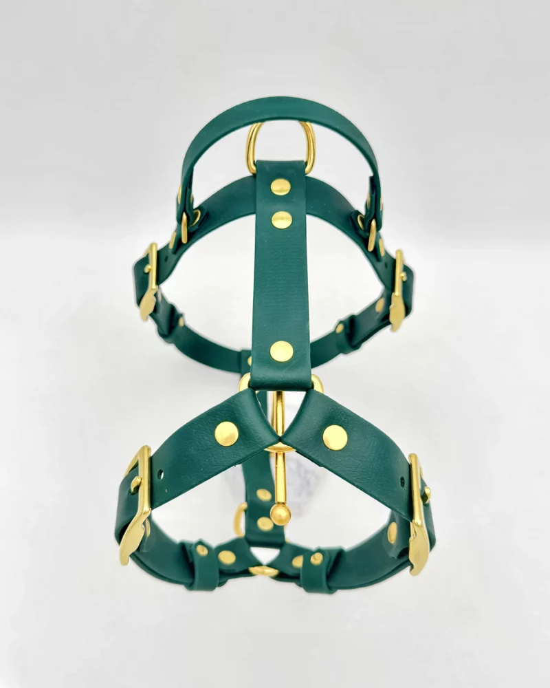 25mm BioThane® Harness – fully customisable 🎨 - Image 10