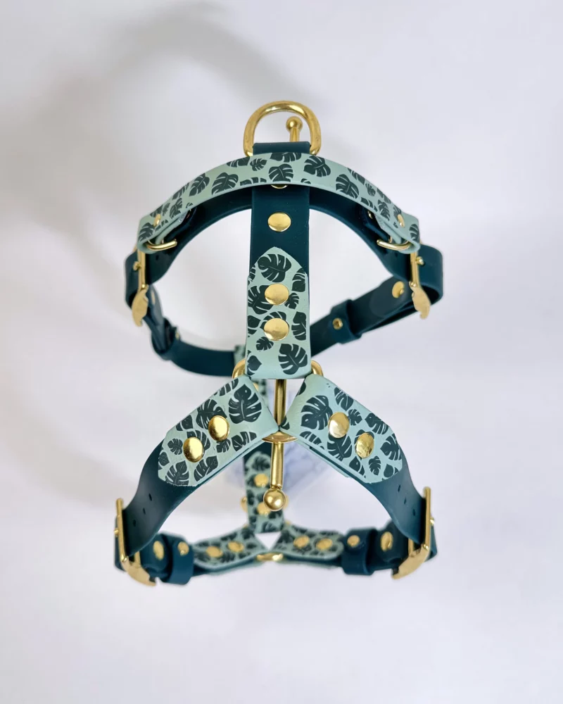 25mm BioThane® Harness – fully customisable 🎨 - Image 6
