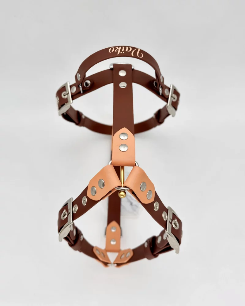 25mm BioThane® Harness – fully customisable 🎨 - Image 14