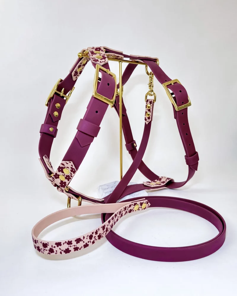 25mm BioThane® Harness – fully customisable 🎨 - Image 18