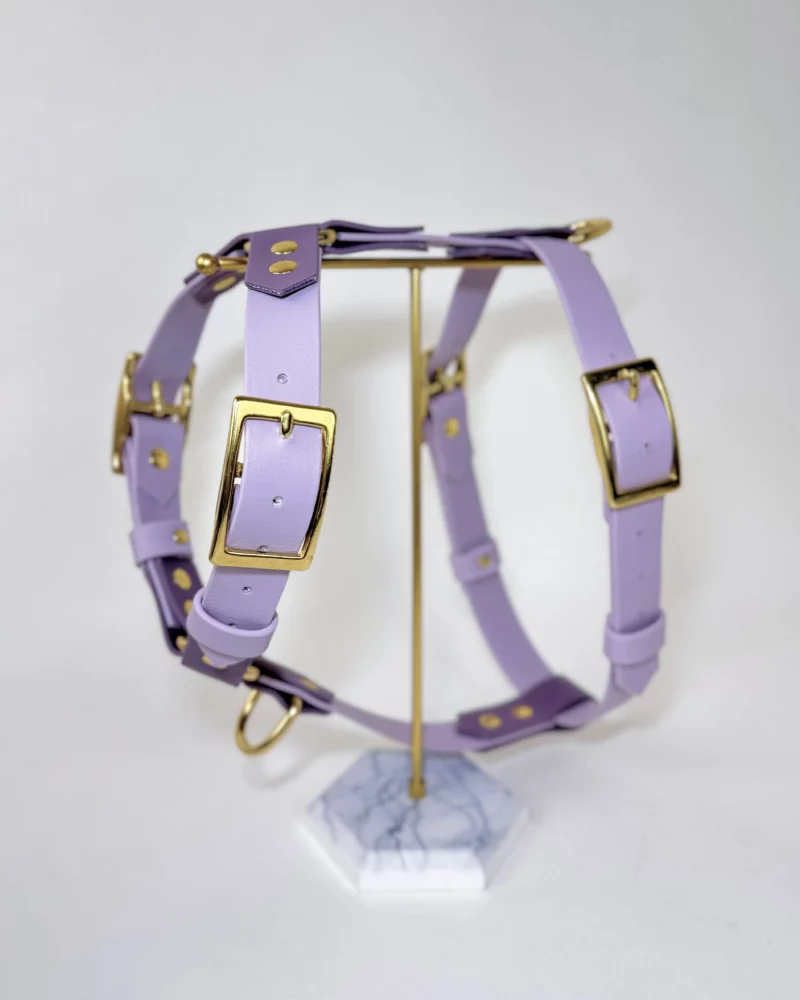 25mm BioThane® Harness – fully customisable 🎨 - Image 26