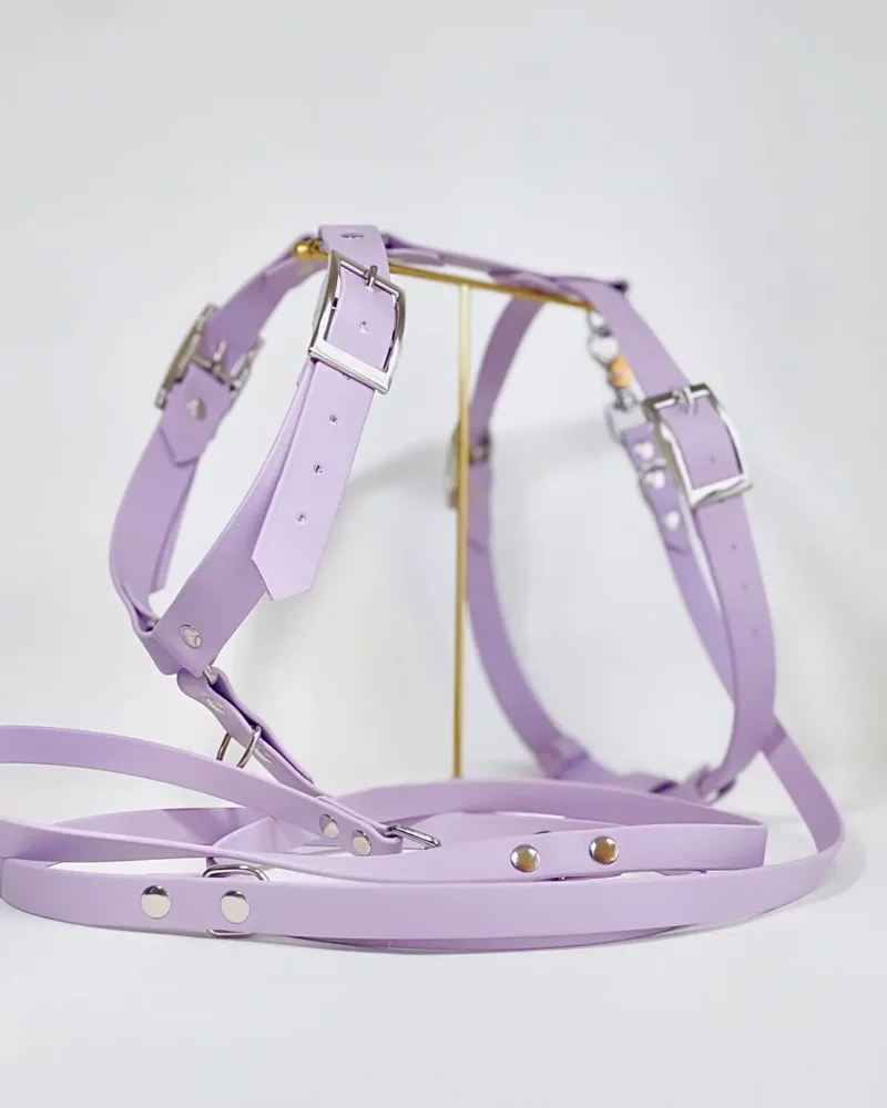 25mm BioThane® Harness – fully customisable 🎨 - Image 22