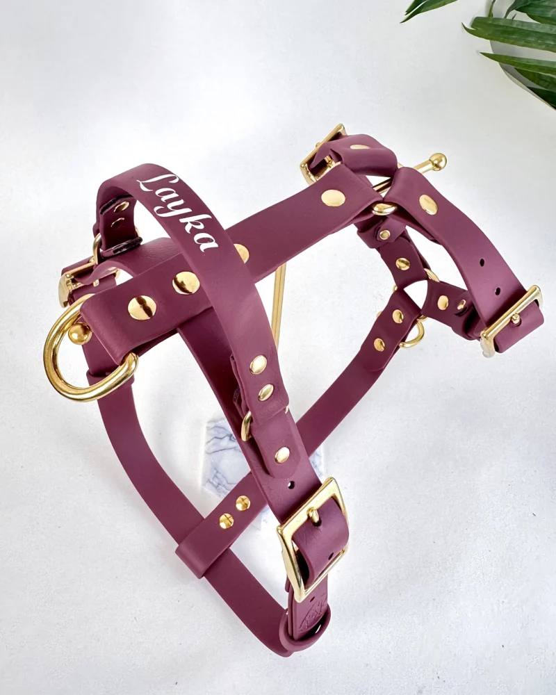 25mm BioThane® Harness – fully customisable 🎨 - Image 16
