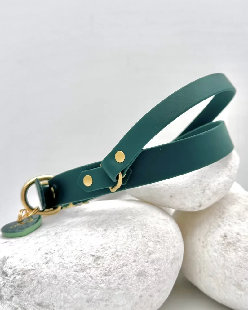 BioThane® Halsband 25mm mit Rückholgriff – personalisierbar 🎨 – Bild 15