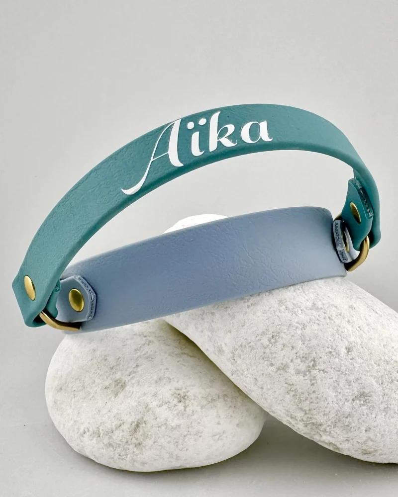 BioThane® Halsband 25mm mit Rückholgriff – personalisierbar 🎨 – Bild 3