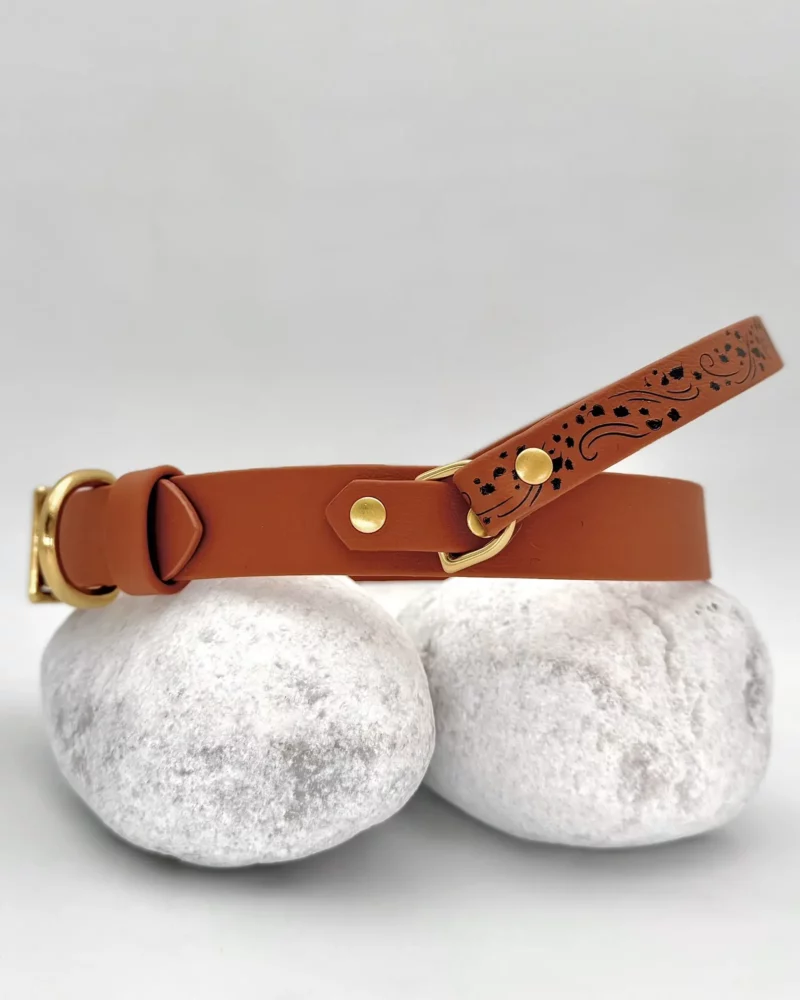 BioThane® Halsband 25mm mit Rückholgriff – personalisierbar 🎨 – Bild 11