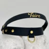 BioThane® Halsband 25mm mit Rückholgriff – personalisierbar 🎨