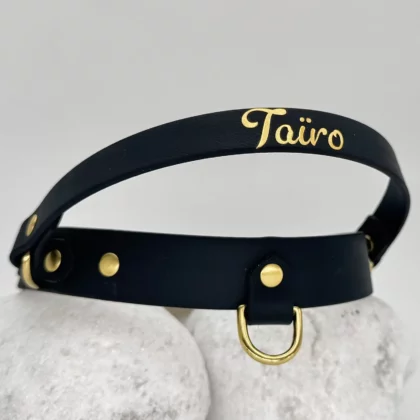 BioThane® Halsband 25mm mit Rückholgriff – personalisierbar 🎨