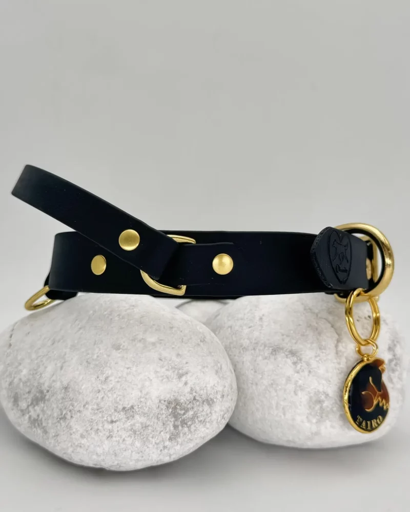 BioThane® Halsband 25mm mit Rückholgriff – personalisierbar 🎨 – Bild 7