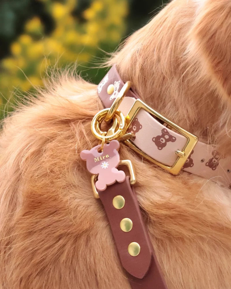 Biothane® Two-Tone Collar 25mm – Customizable 🎨 - Image 8