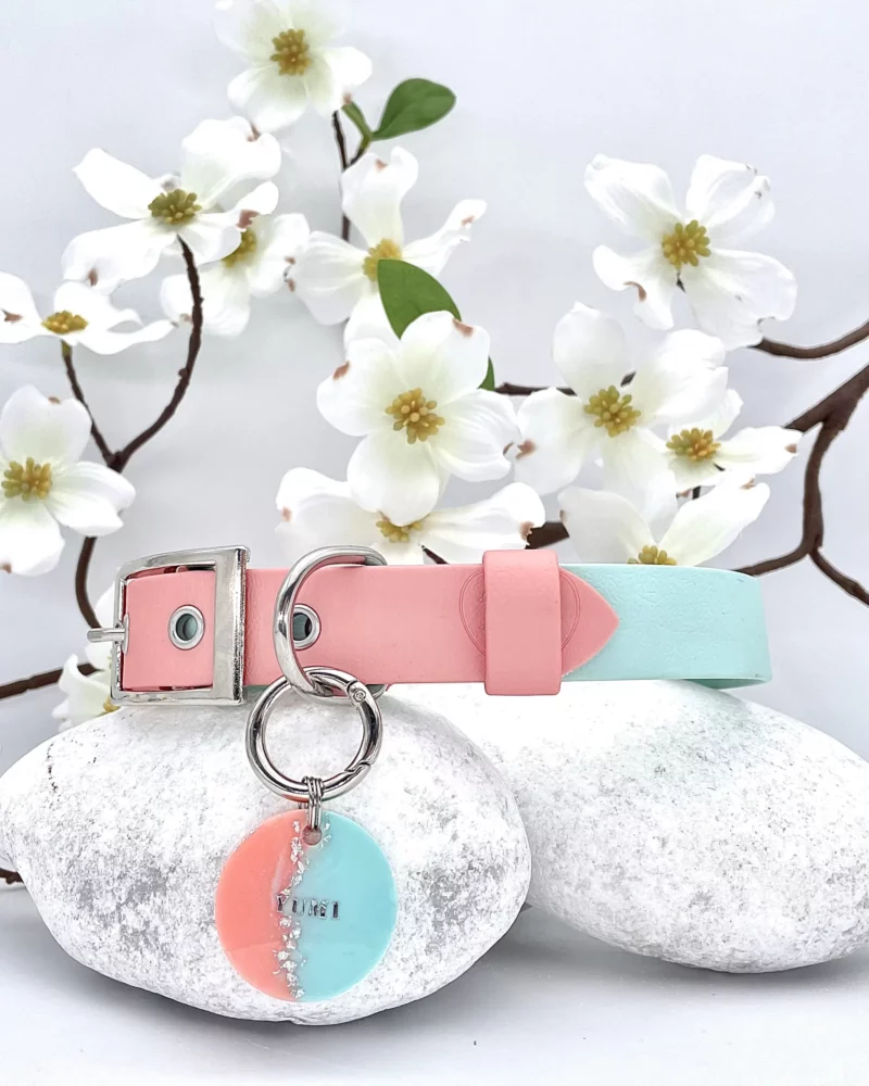 Collier bicolore 25mm BioThane® -  à personnaliser 🎨 – Image 12