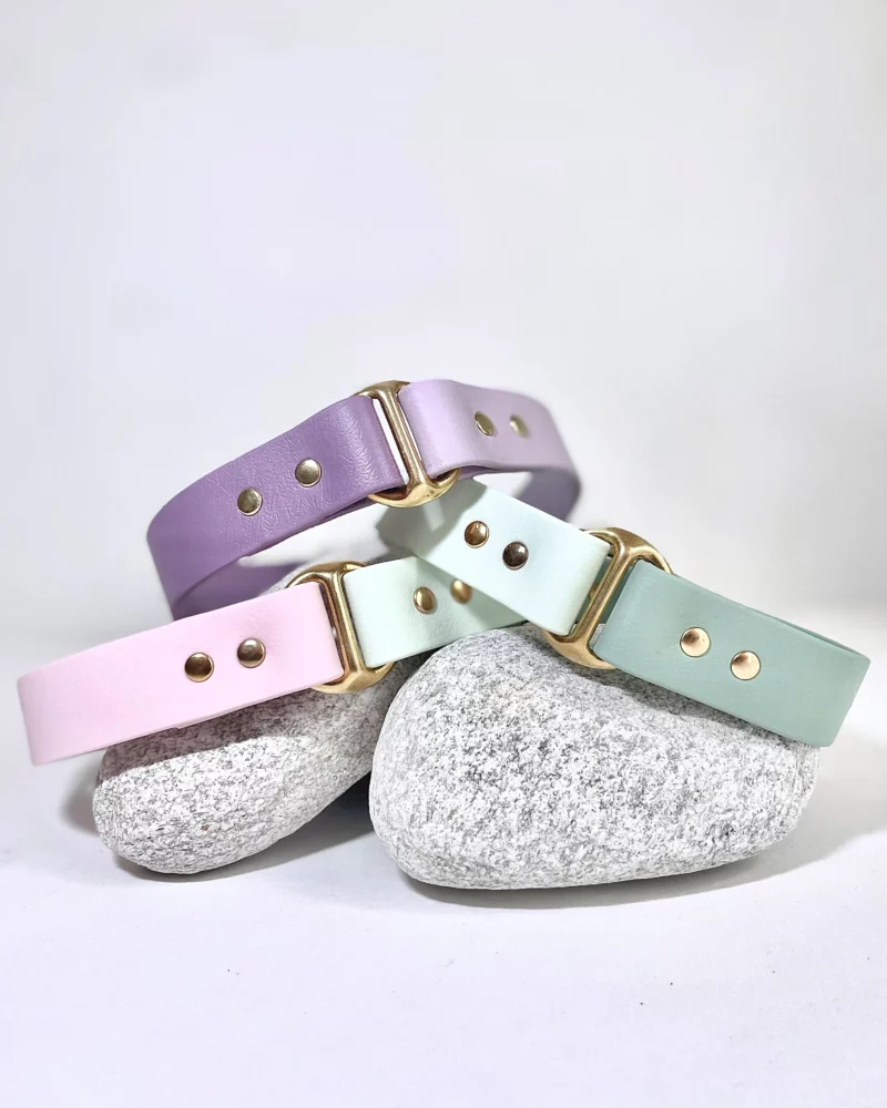 Biothane® Two-Tone Collar 25mm – Customizable 🎨 - Image 16