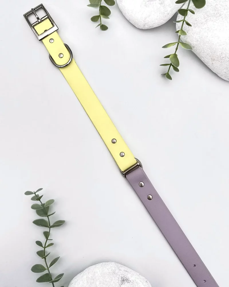 Biothane® Two-Tone Collar 25mm – Customizable 🎨 - Image 18