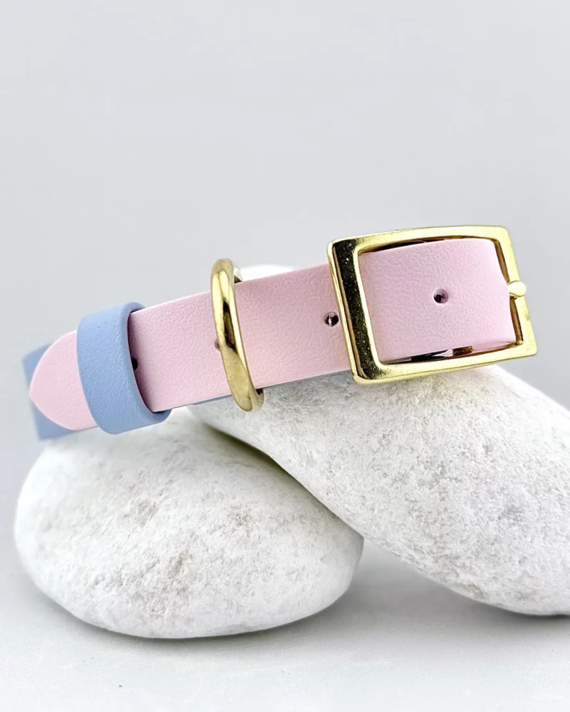 Biothane® Two-Tone Collar 25mm – Customizable 🎨 - Image 3