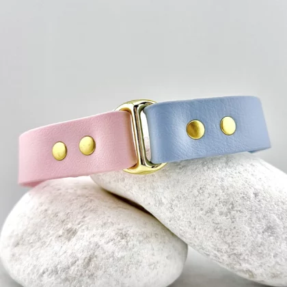 Collier bicolore 25mm BioThane® -  à personnaliser 🎨