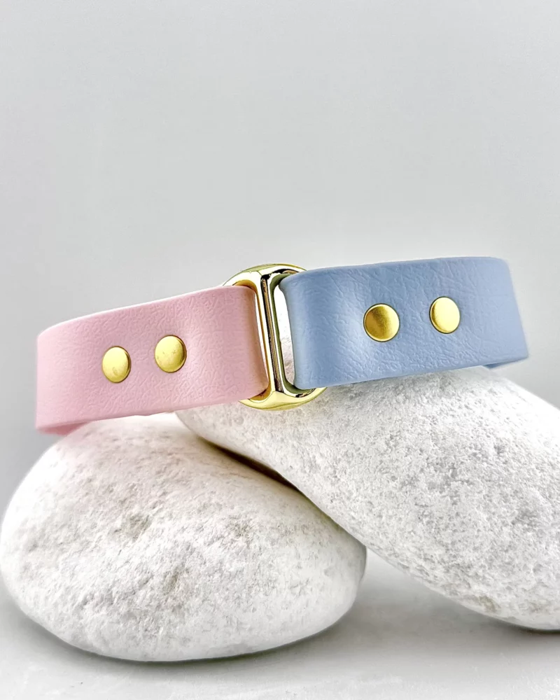 Collier bicolore 25mm BioThane® -  à personnaliser 🎨