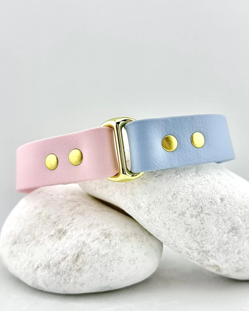 Biothane® Two-Tone Collar 25mm – Customizable 🎨