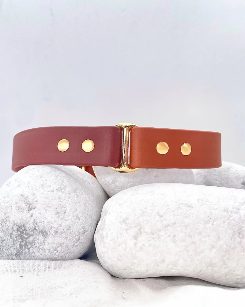 Biothane® Two-Tone Collar 25mm – Customizable 🎨 - Image 14