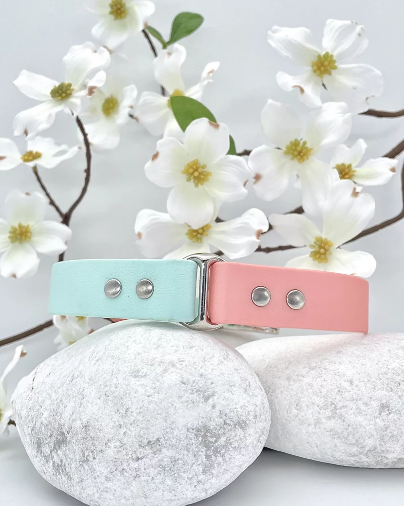 Biothane® Two-Tone Collar 25mm – Customizable 🎨 - Image 11