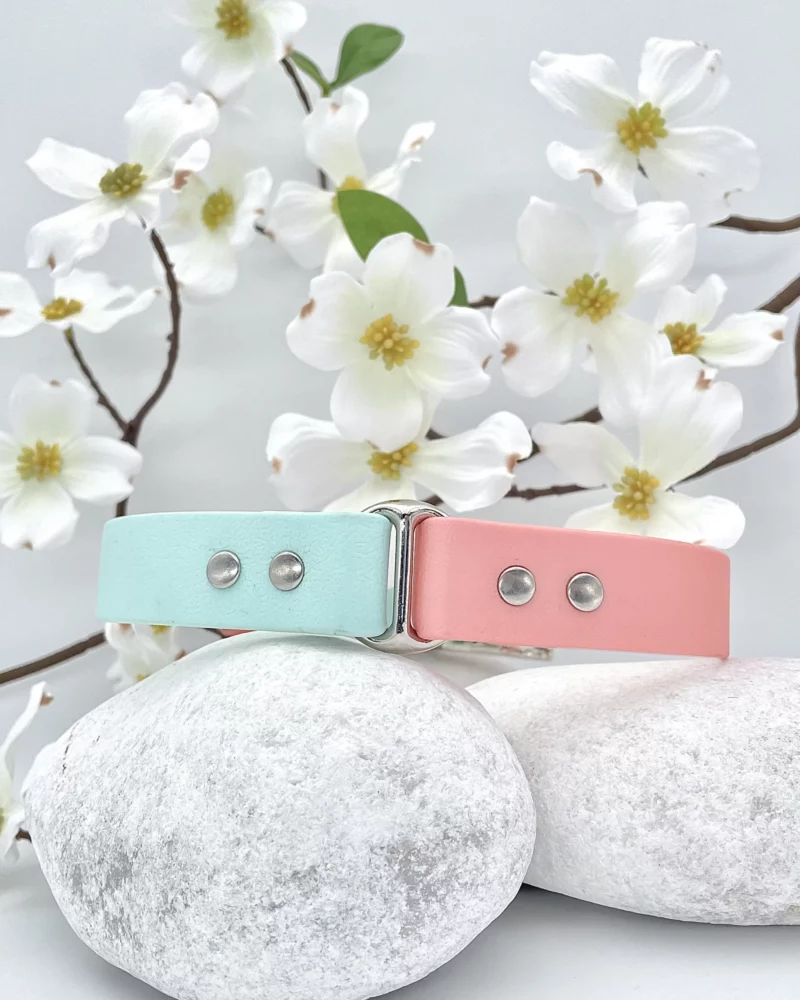 Collier bicolore 25mm BioThane® -  à personnaliser 🎨 – Image 11