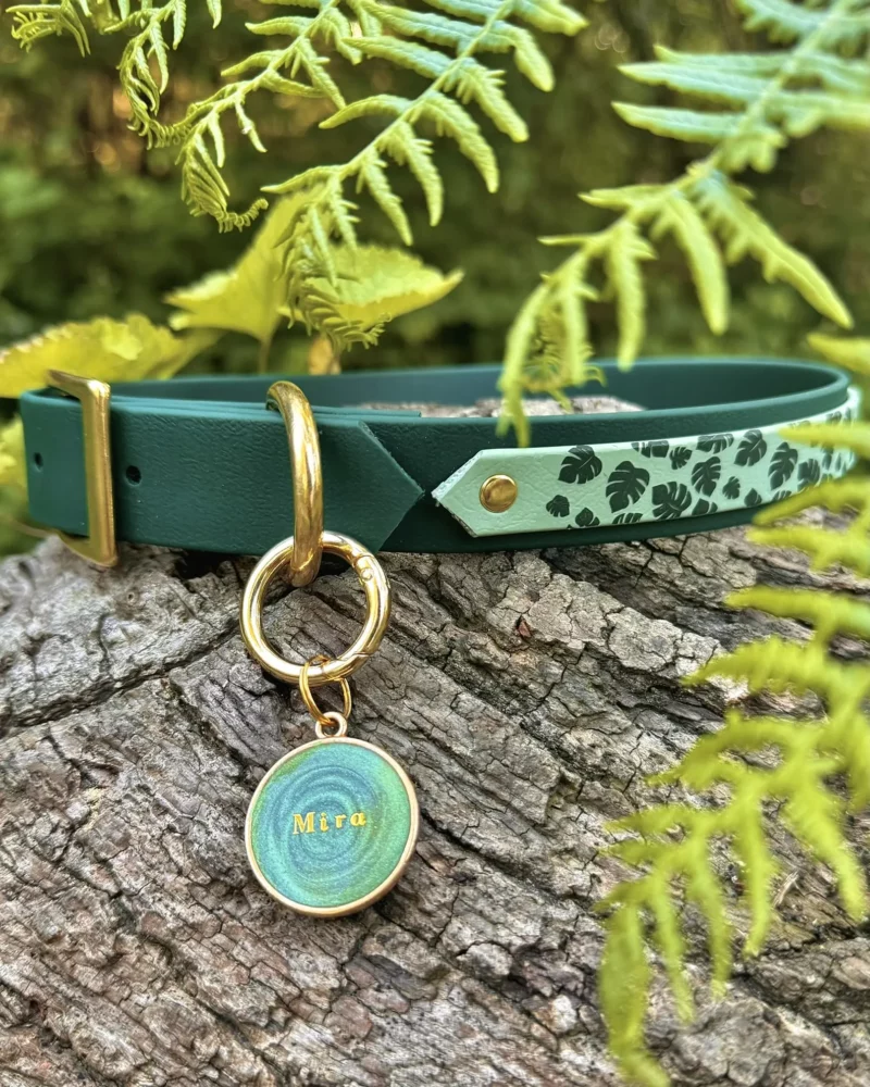 Double Layer 25mm BioThane® Dog Collar – Customizable 🎨 - Image 14